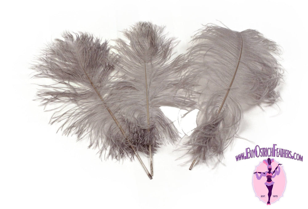 Ostrich Feather Tail Plumes 11-14" (Silver/Grey) - Buy Ostrich Feathers