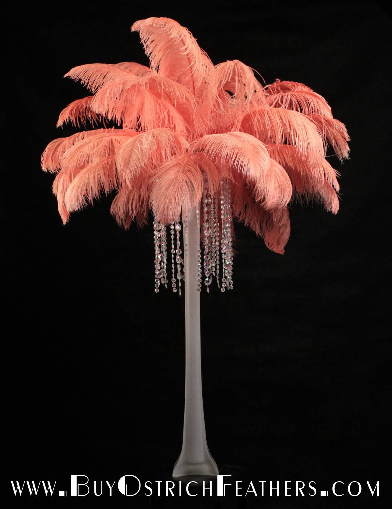 Ostrich Feather Tail Plumes 13-16" (Apricot) - Buy Ostrich Feathers
