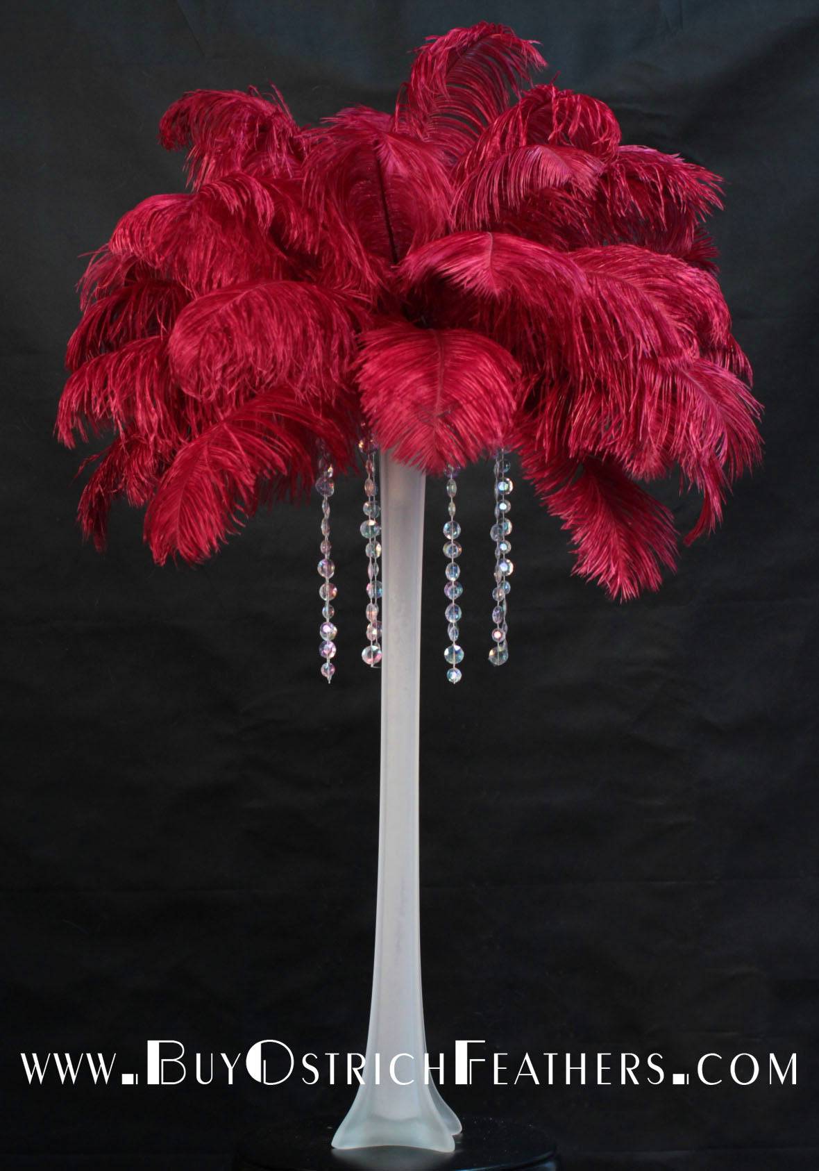 Ostrich Feather Tail Plumes 13-16" (Burgundy) - Buy Ostrich Feathers