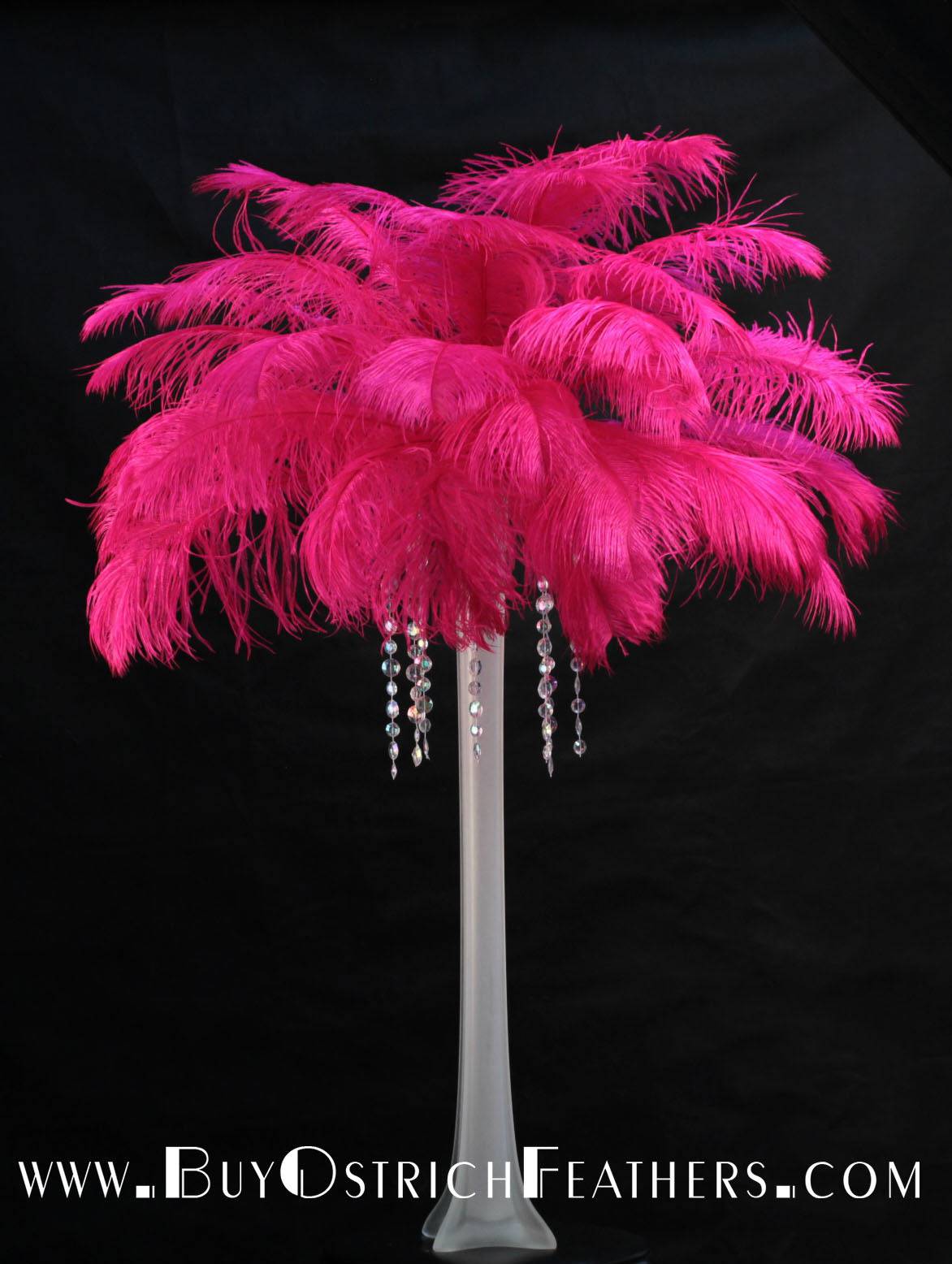 Ostrich Feather Tail Plumes 13-16" (Fuchsia) - Buy Ostrich Feathers