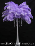 Load image into Gallery viewer, Ostrich Feather Tail Plumes 13-16" (Lavender) - Buy Ostrich Feathers