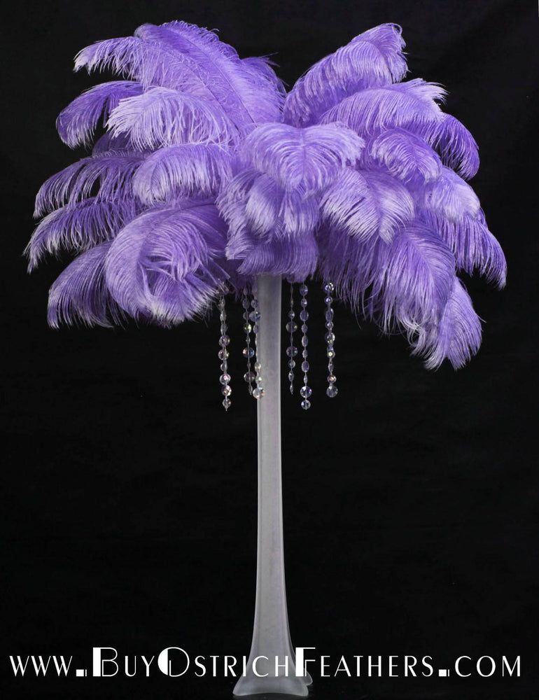 Ostrich Feather Tail Plumes 13-16" (Lavender) - Buy Ostrich Feathers