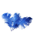 Load image into Gallery viewer, Ostrich Feather Tail Plumes 13-16" (Royal Blue) - Buy Ostrich Feathers