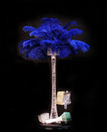 Load image into Gallery viewer, Ostrich Feather Tail Plumes 13-16" (Royal Blue) - Buy Ostrich Feathers