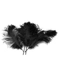 Load image into Gallery viewer, Ostrich Feather Tail Plumes 15-18" (Black) - Buy Ostrich Feathers