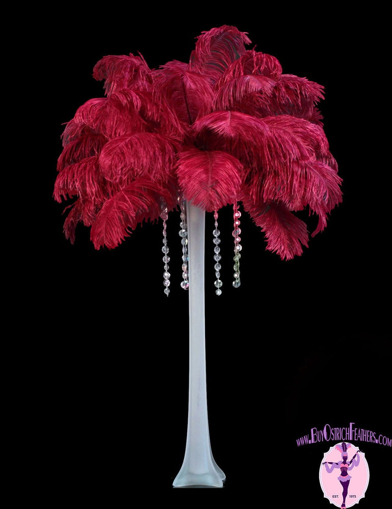 Ostrich Feather Tail Plumes 15-18" (Burgundy) - Buy Ostrich Feathers