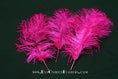Load image into Gallery viewer, Ostrich Feather Tail Plumes 15-18" (Fuchsia) - Buy Ostrich Feathers