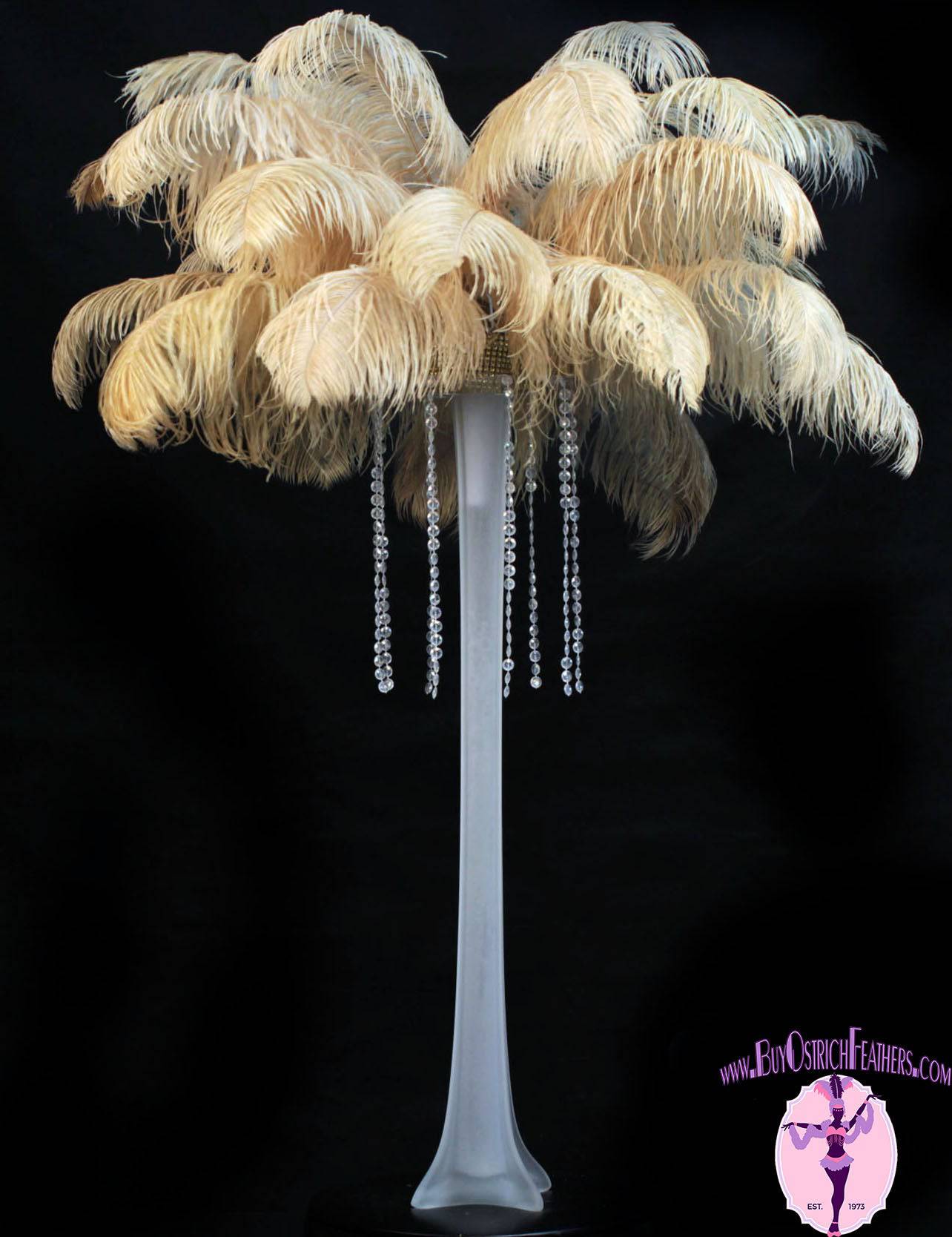 Ostrich Feather Tail Plumes 15-18" (Gold) - Buy Ostrich Feathers