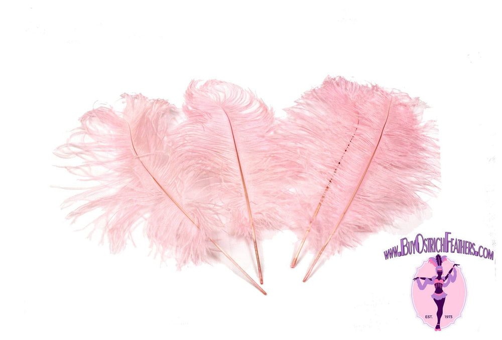 Ostrich Feather Tail Plumes 9-12" (Baby Pink) - Buy Ostrich Feathers