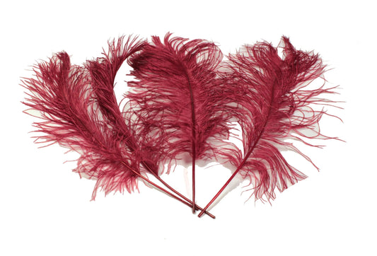 Ostrich Feather Tail Plumes 9-12" (Burgundy) - Buy Ostrich Feathers
