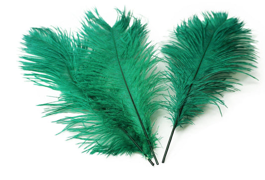 Ostrich Feather Tail Plumes 9-12" (Emerald Green) - Buy Ostrich Feathers