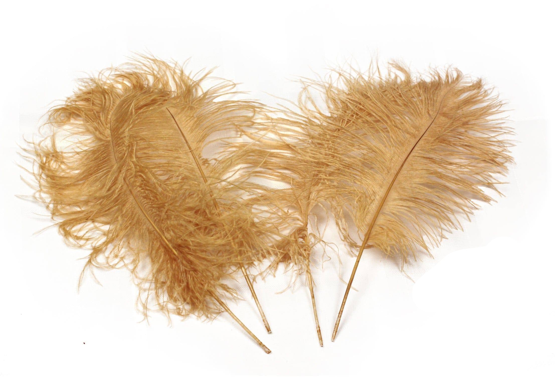 Ostrich Feather Tail Plumes 9 12 Gold for Sale Online
