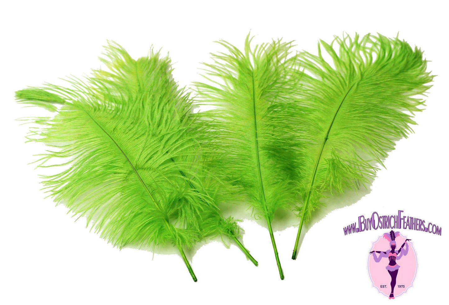Ostrich Feather Tail Plumes 9-12" (Lime Green) - Buy Ostrich Feathers