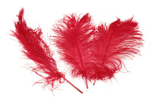 Ostrich Feather Tail Plumes 9-12" (Red) - Buy Ostrich Feathers