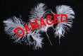 Load image into Gallery viewer, Ostrich Feathers Size 13-18" DAMAGED White Tail Centerpiece Feathers - Buy Ostrich Feathers