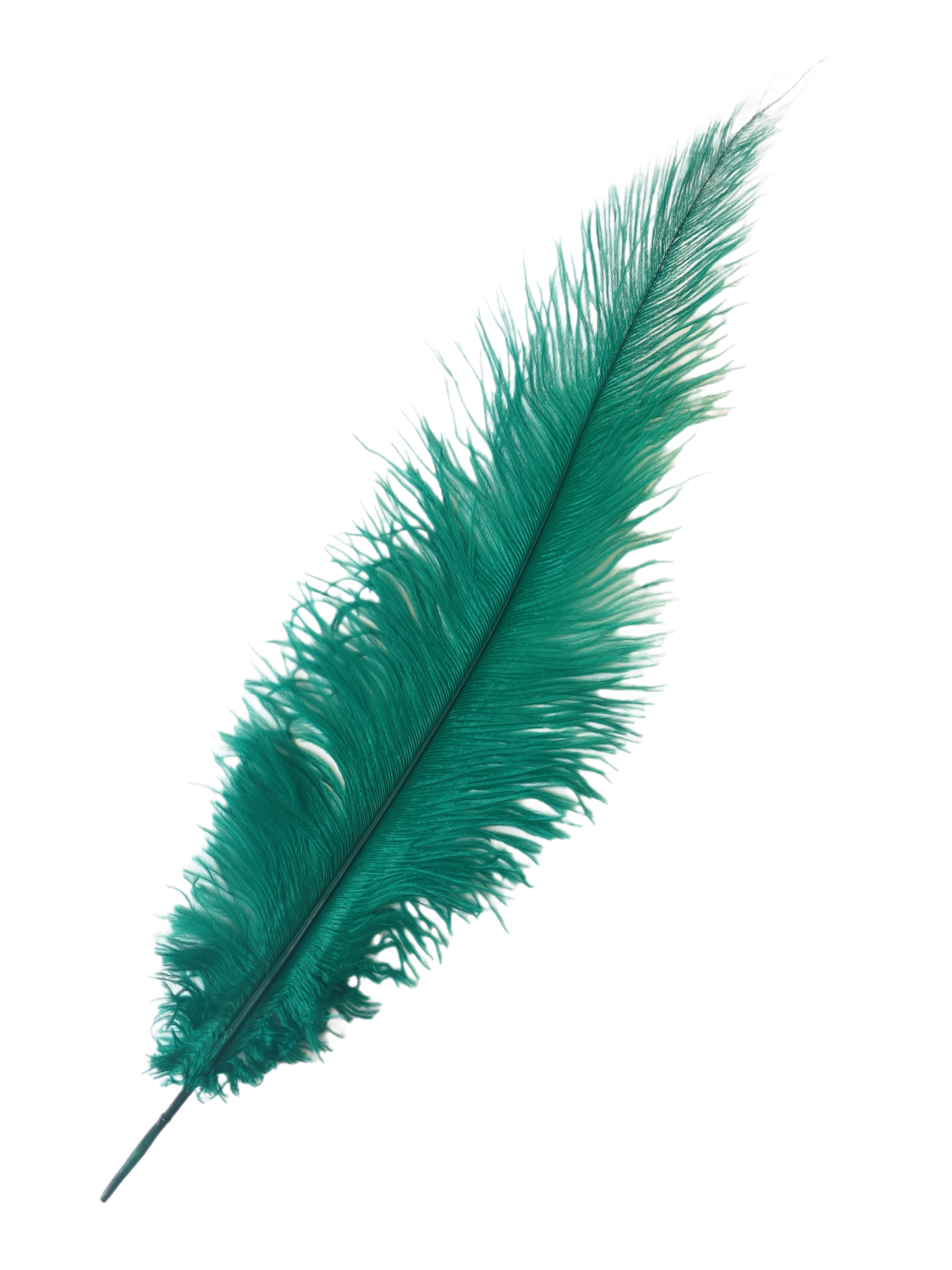 Ostrich Feather Spad Plumes 13-16" (Emerald Green) - Buy Ostrich Feathers