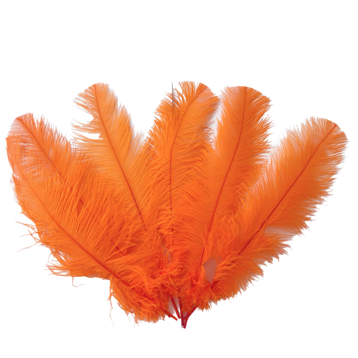 Ostrich Feather Rental 1620" (Orange) 250pcs for Sale Online