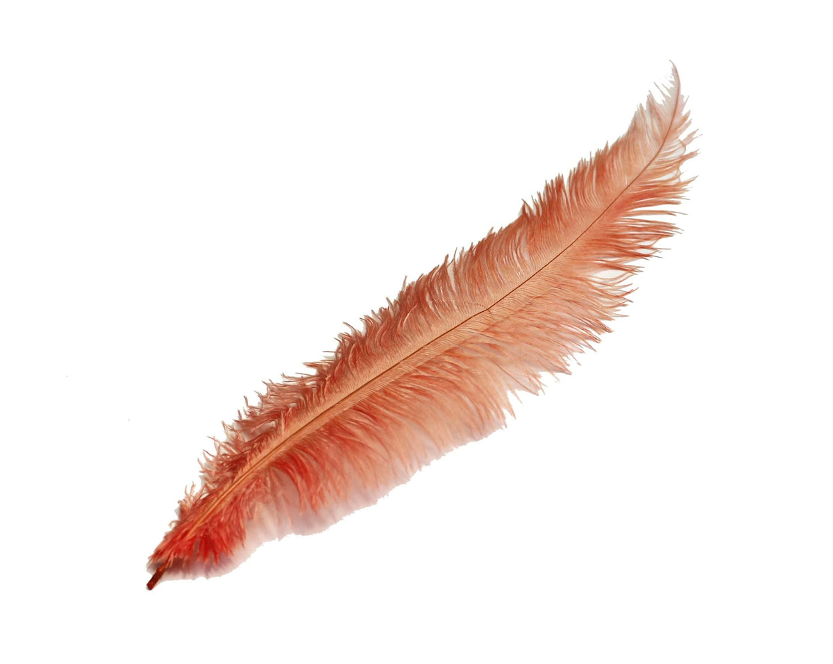 BULK Ostrich Feather Spad Plumes 16-20 (Apricot) for Sale Online