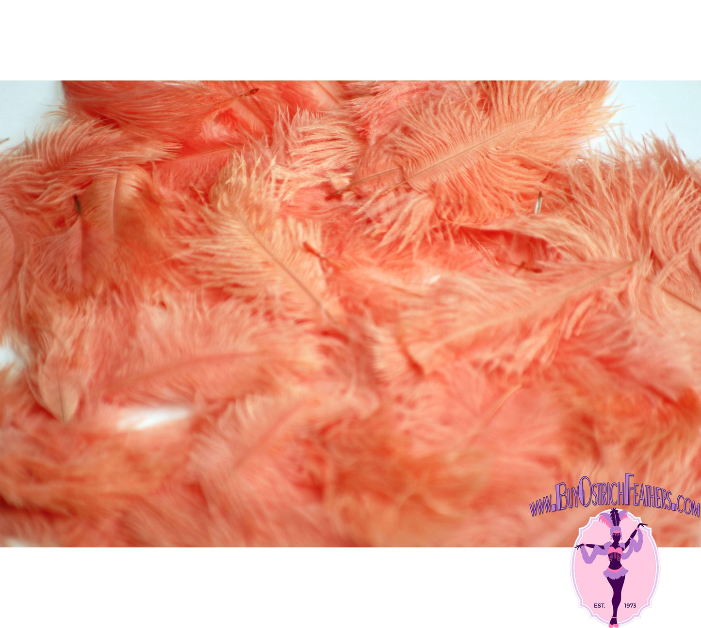 
                  
                    Confetti Craft Ostrich Feathers (Apricot) - Buy Ostrich Feathers
                  
                