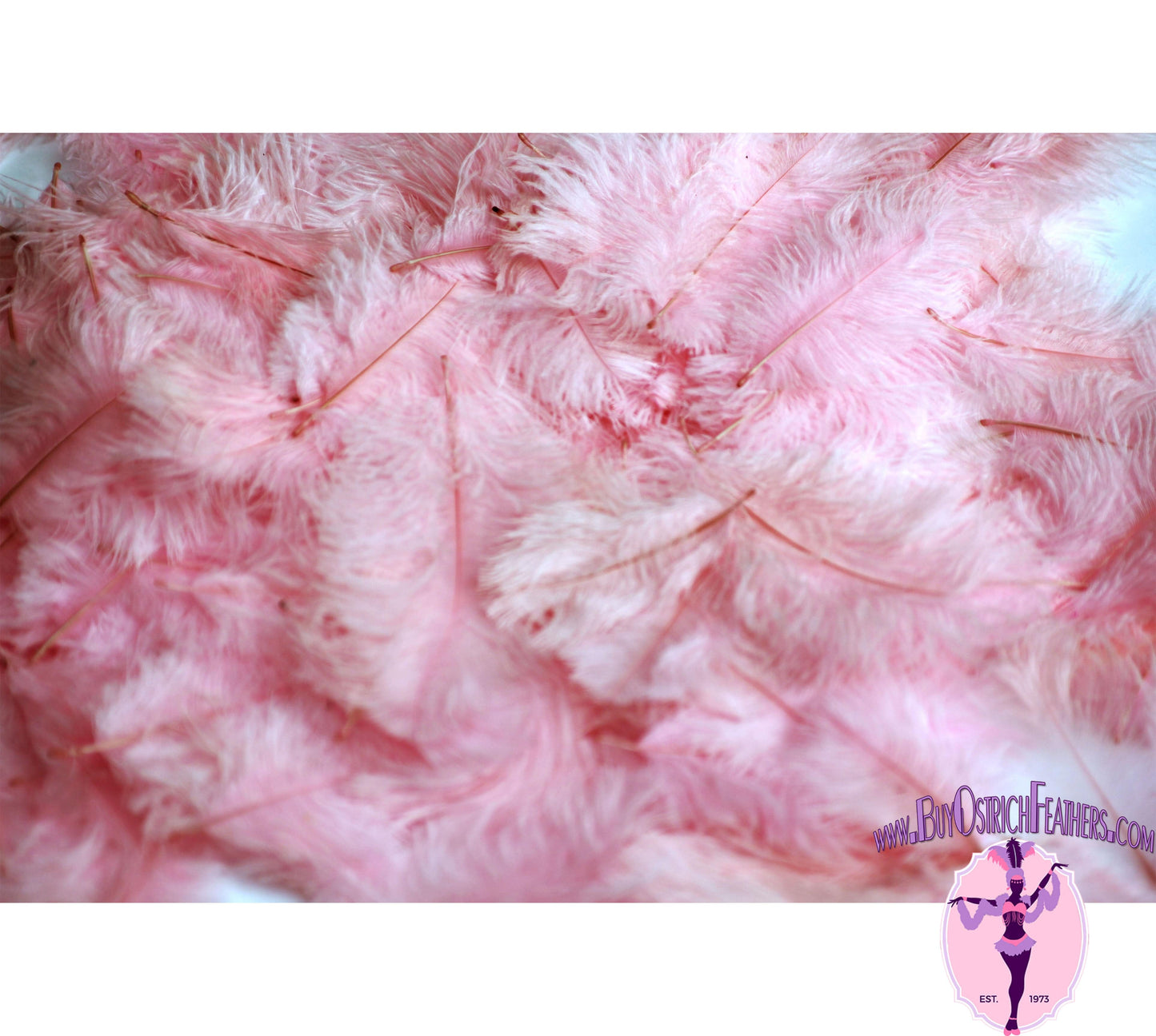 
                  
                    Confetti Craft Ostrich Feathers (Baby Pink) - Buy Ostrich Feathers
                  
                