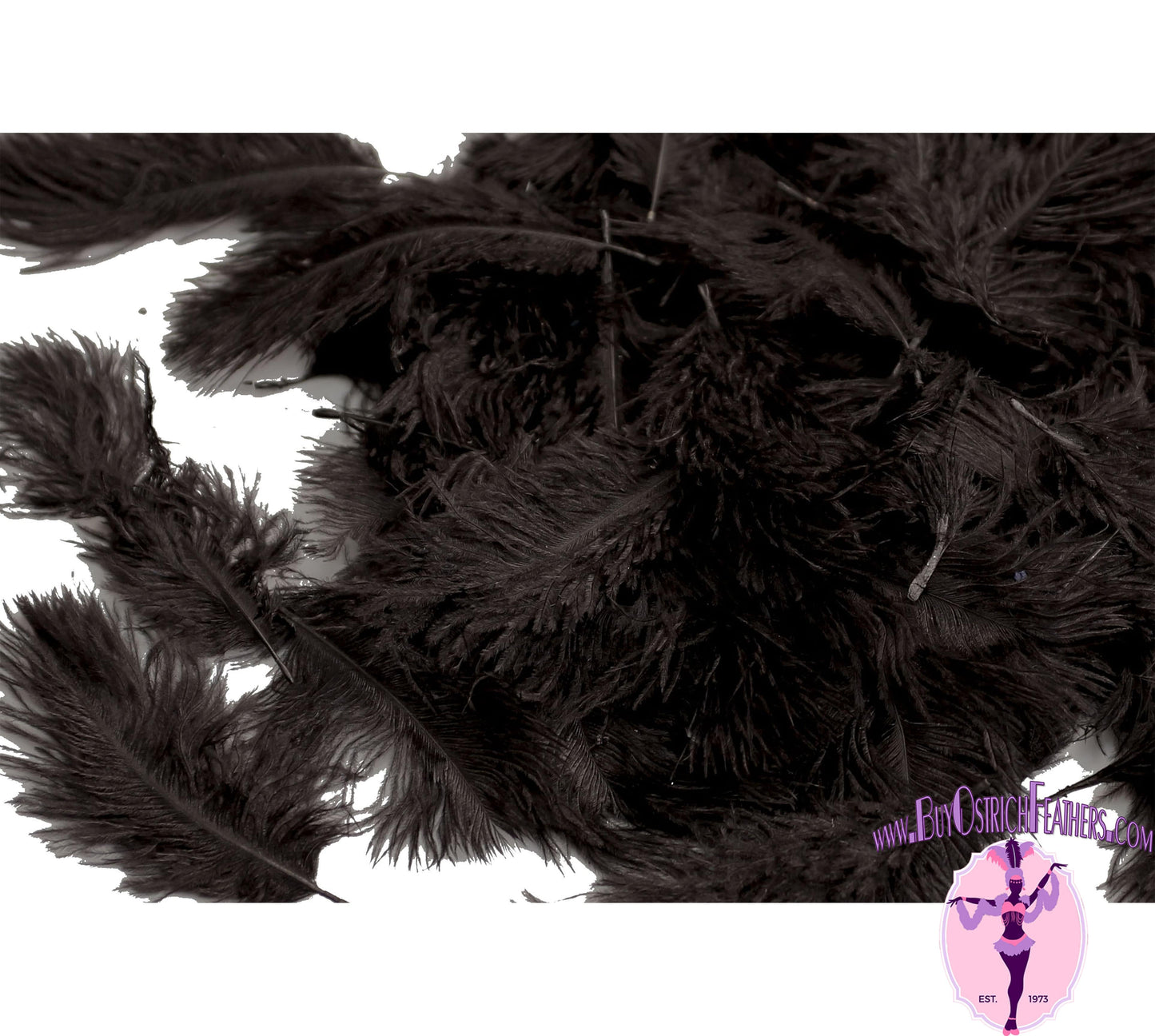 
                  
                    Confetti Craft Ostrich Feathers (Black) - Buy Ostrich Feathers
                  
                