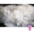 Load image into Gallery viewer, Confetti Craft Ostrich Feathers (White) - Buy Ostrich Feathers