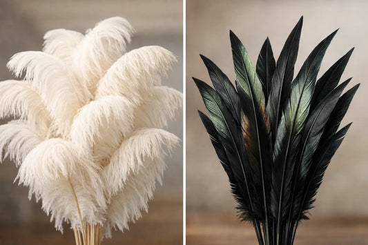 Ostrich Plumes vs Spad Plumes