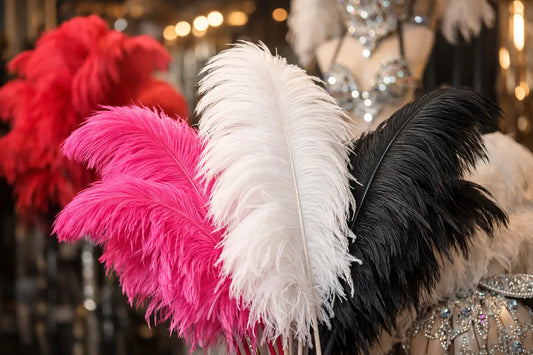 Large Ostrich Plumes for Costumes That Pop