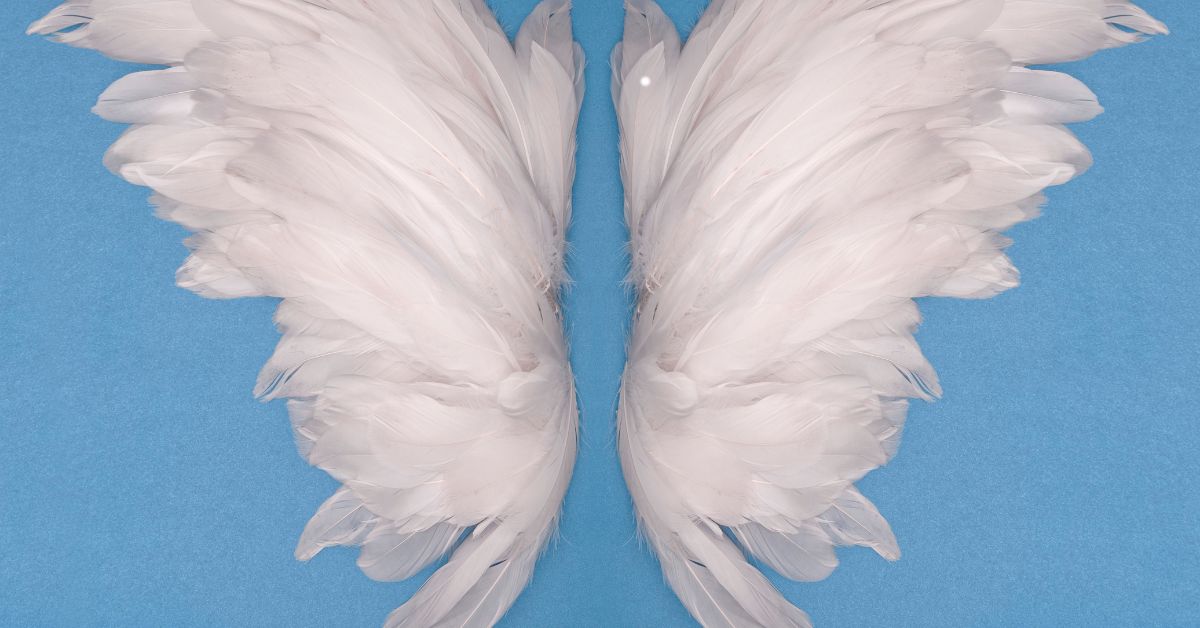 Angel Wings