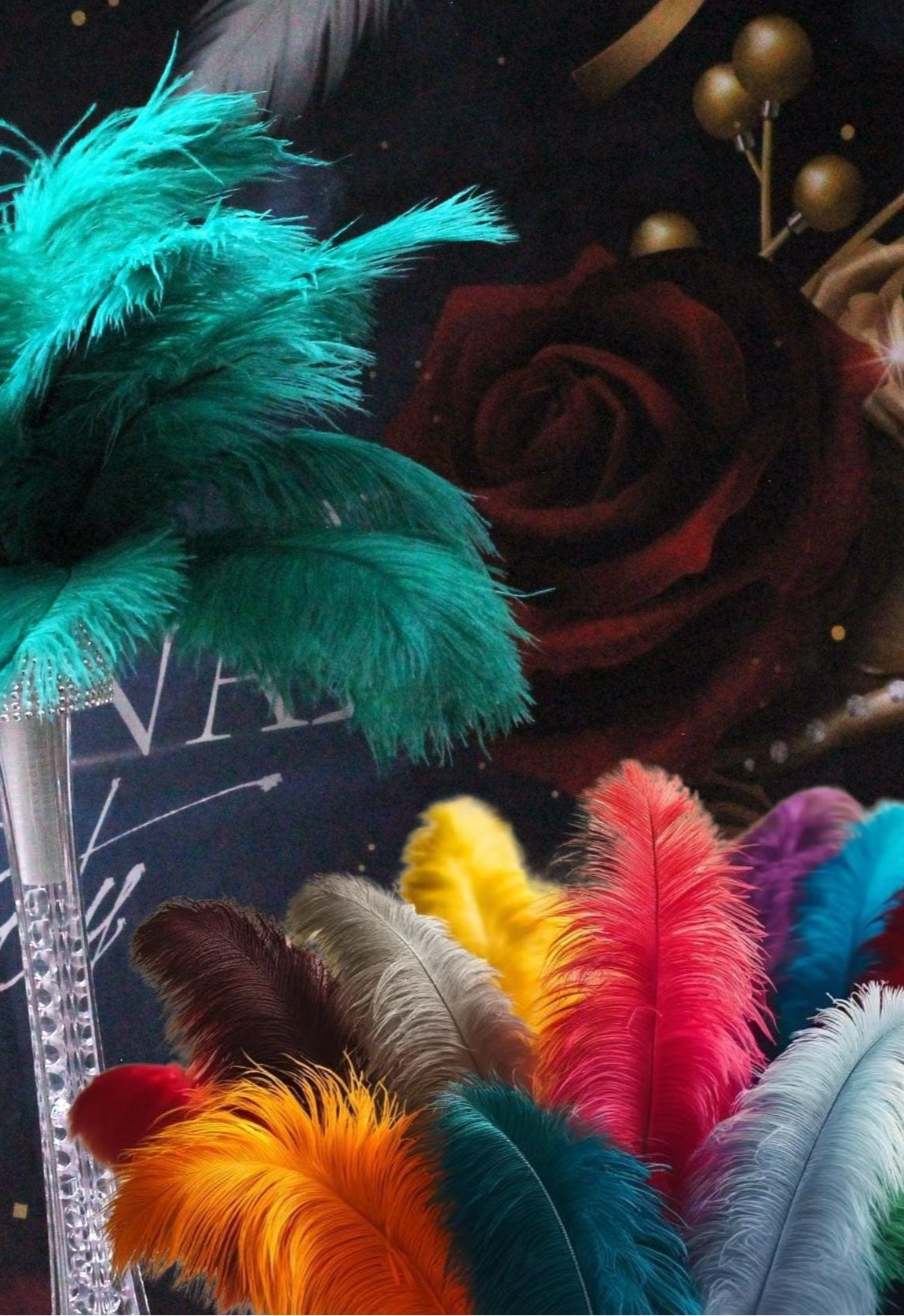 Colourful ostrich feathers 