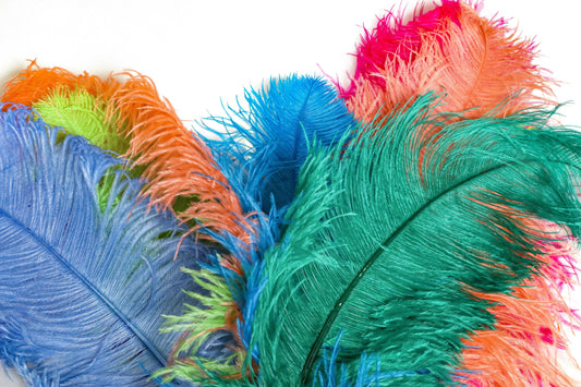 Dyed Ostrich Feathers