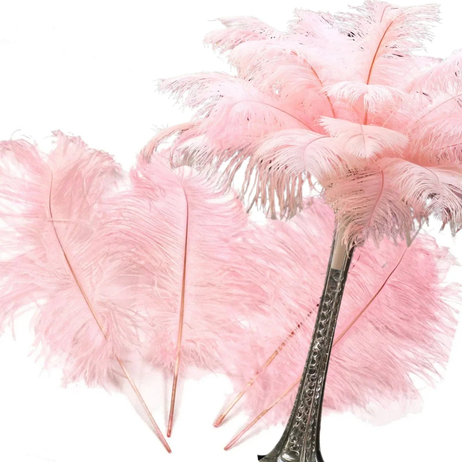 Ostrich feathers and a centerpiece