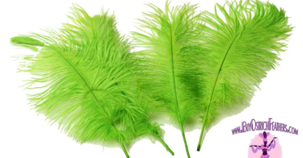 Ostrich Feather Tail Plumes 11-14 (Lime Green)
