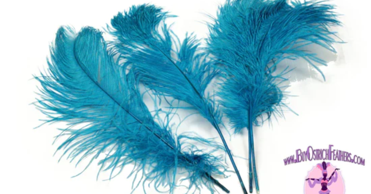 Ostrich Feather Tail Plumes 11-14 (Turquoise)