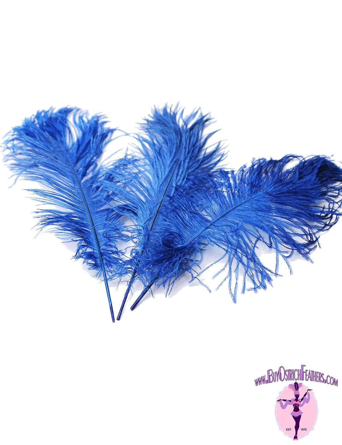 Ostrich Feather Tail Plumes Blue