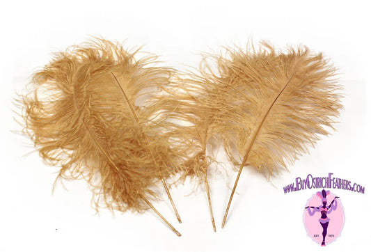 Ostrich Feather Tail Plumes 9-12" (Gold)