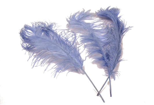 ostrich feathers