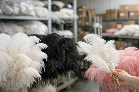 Ostrich Feather Wholesale Supplier USA Guide