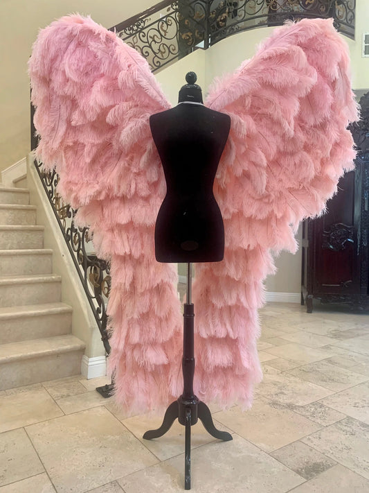 Professional Genuine Adult Feather Angel Wings