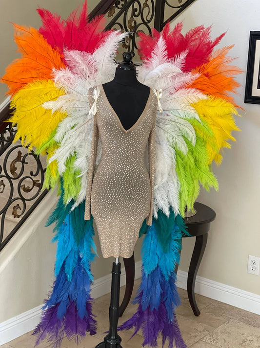 Rainbow Adult Feather Angel Wings SPADS