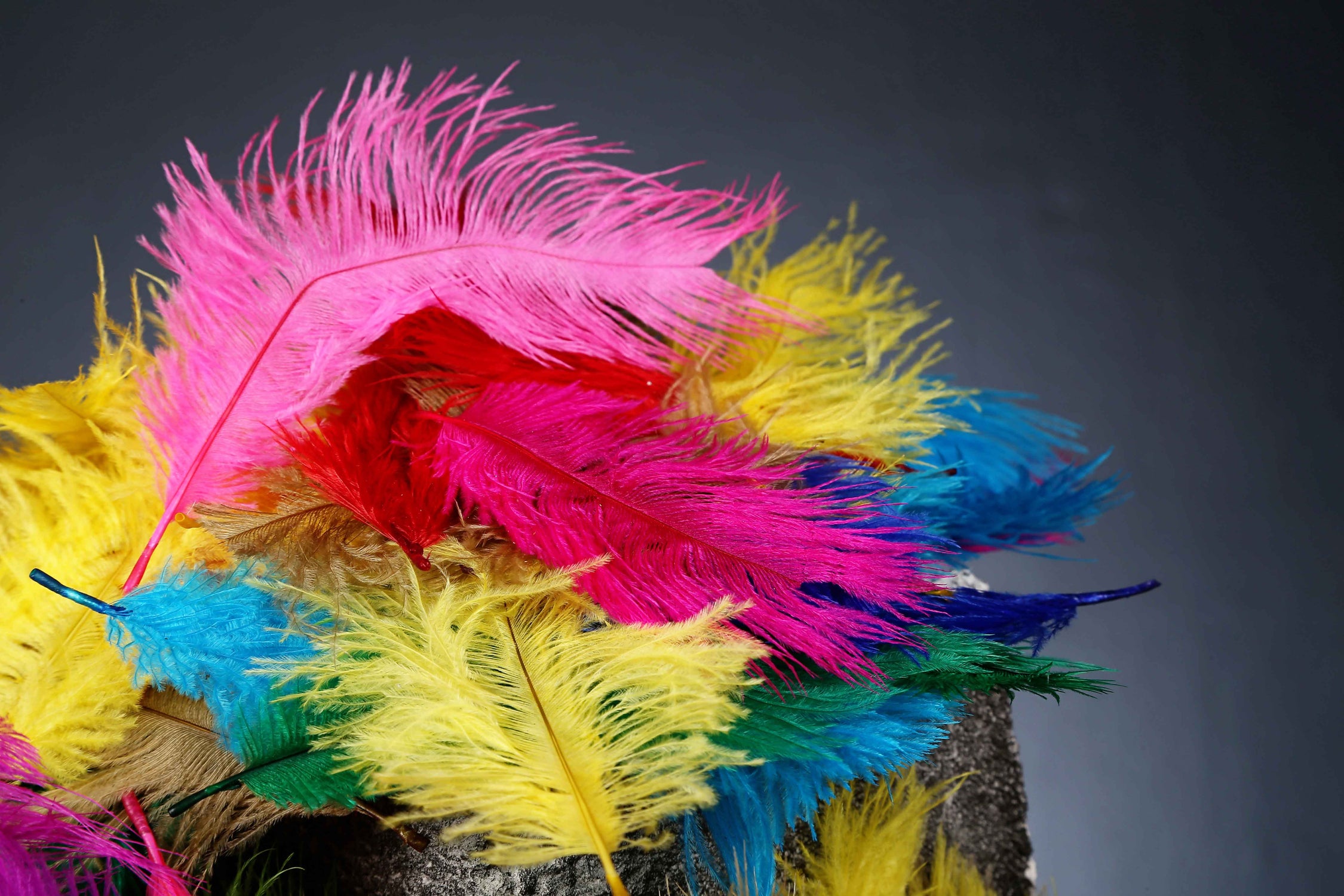 Flexible Ostrich Feathers 11-14"