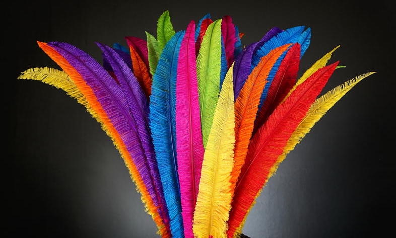 Ostrich Feather Spads 16-20"