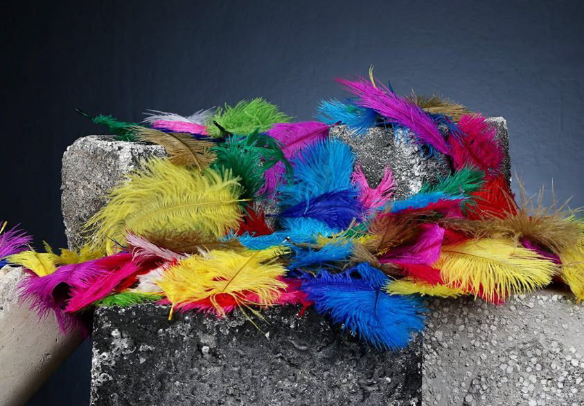 Confetti Ostrich Feathers