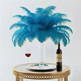 Load image into Gallery viewer, Complete Feather Centerpiece With 16" Vase (Turquoise) - www.BuyOstrichFeathers.com
