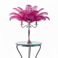 Load image into Gallery viewer, Ostrich Flexible Feathers 9-12" (Fuschia) - www.BuyOstrichFeathers.com
