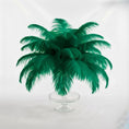 Load image into Gallery viewer, Ostrich Feather Tail Plumes 9-12" (Emerald Green)
