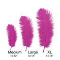 Load image into Gallery viewer, BULK 1/2lb Ostrich Feather Tail Plumes 15-20" (Fuchsia)
