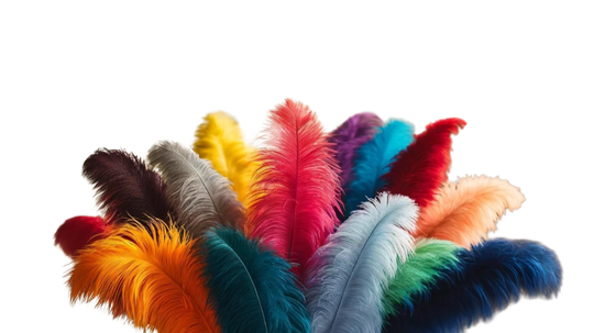 Combo of colourful ostrich feathers