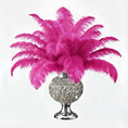 Load image into Gallery viewer, Ostrich Flexible Feathers 11-14" (Fuchsia)
