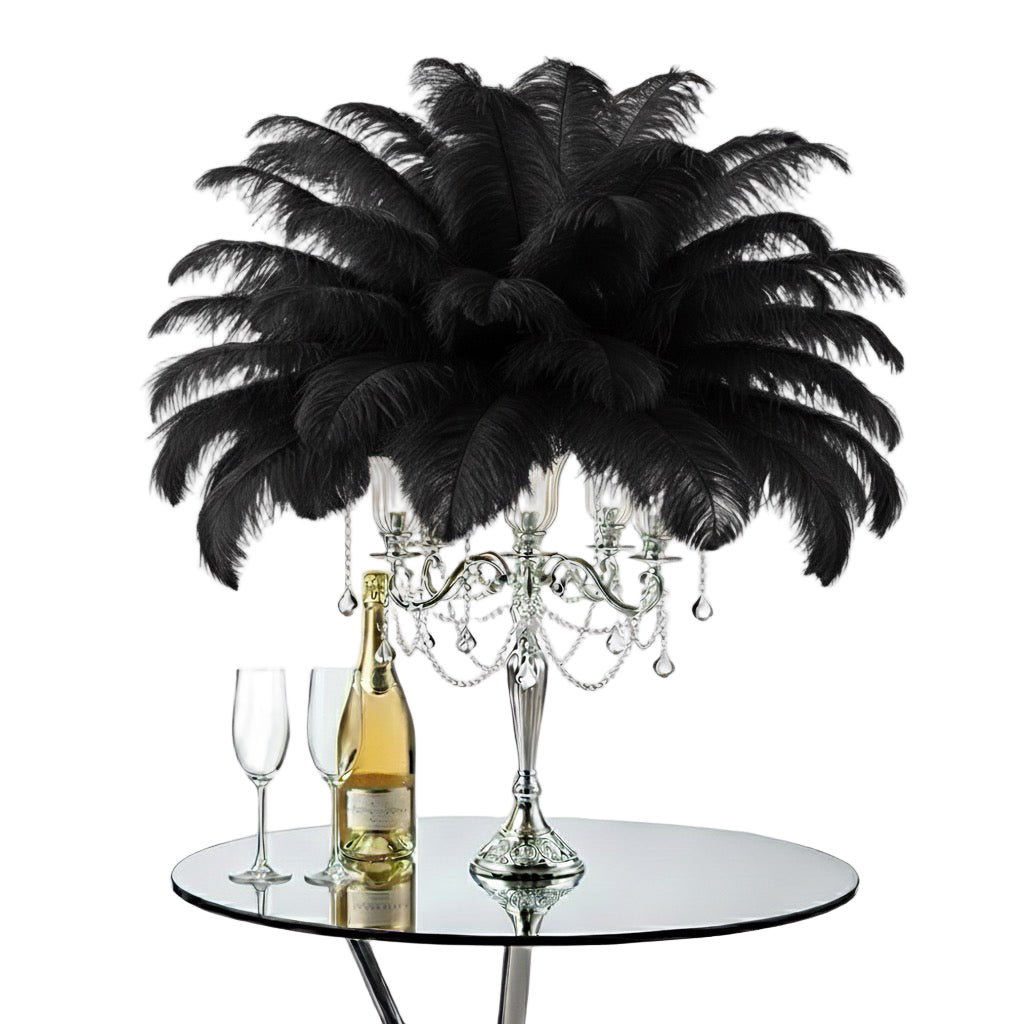 Ostrich Feather Tail Plumes 15-18" (Black)